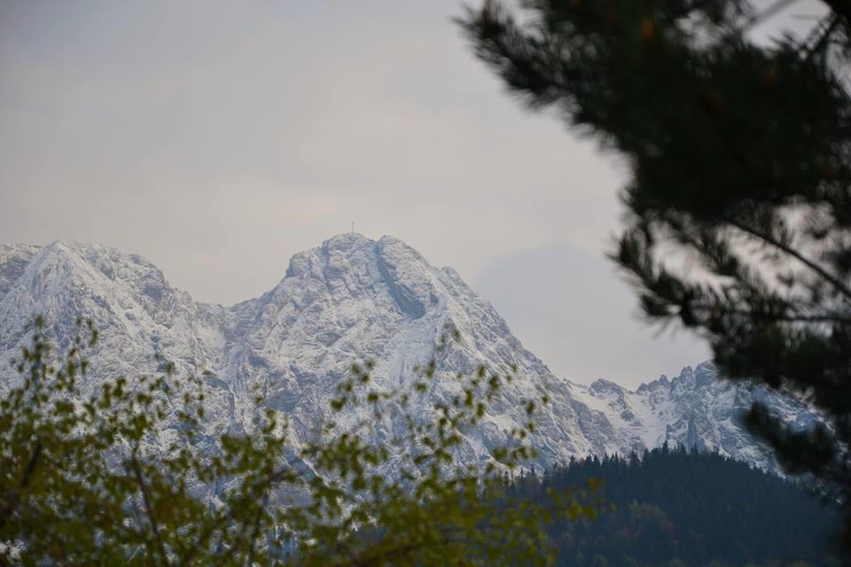 Apartament Apartament Twój Giewont Zakopane Kościelisko Zewnętrze zdjęcie